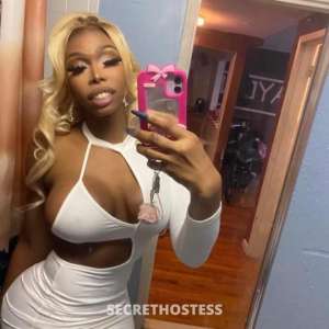 Hot Colombian and Cuban Barbie Cataleya La Reina in Syracuse NY