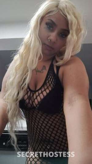 Couture 30Yrs Old Escort Las Vegas NV Image - 9