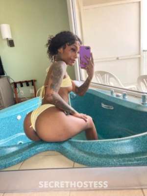 21 year old Escort in Biloxi MS Honey The Cajun Barbie