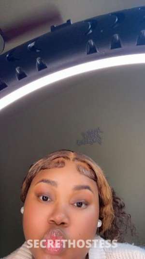 pretty brown brown in Houma LA