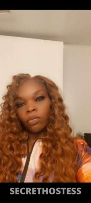 28 year old Escort in Beaumont TX Looking For Clean, Discreet,Fun, Serious Inquiries Only 