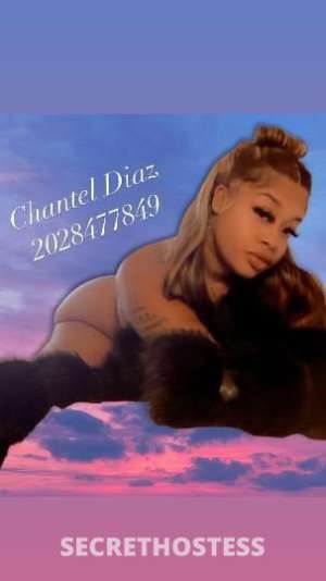 Chantel 29Yrs Old Escort Washington DC Image - 3
