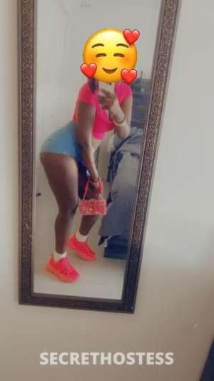 22 year old American Escort in Chicago IL NEW GIRL OUTS ONLY TODAY come f k IM YOUNG HOT AND WET