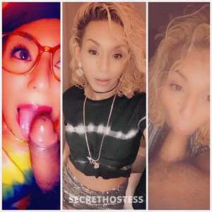 Gigi 27Yrs Old Escort Austin TX Image - 4