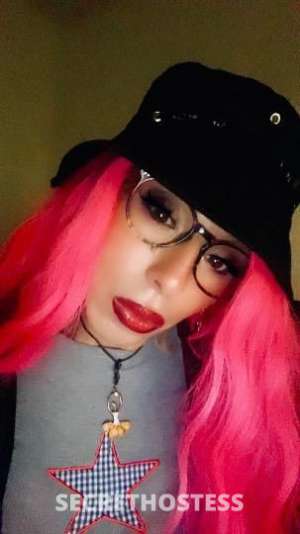 Gigi 27Yrs Old Escort Austin TX Image - 6