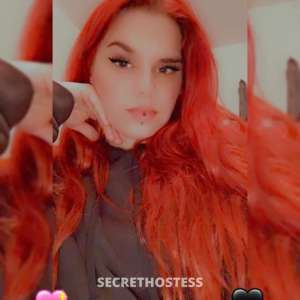 Maddi 26Yrs Old Escort Austin TX Image - 4