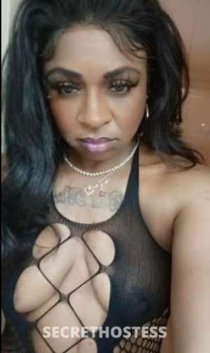 41 year old Escort in Washington DC 🍆💦👅 Deadly Head Assassin