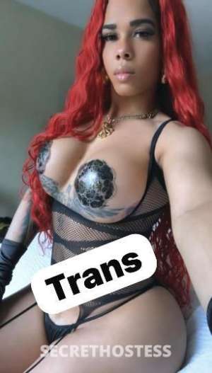 Sasha 26Yrs Old Escort Raleigh NC Image - 9