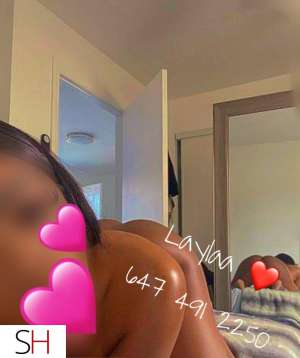 25 year old Escort in Toronto ♡ ♡ ???? ????????? ????? , ready for you daddy