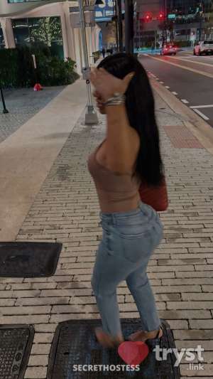 20 year old Caribbean Escort in New Port Richey FL Danielle - The Softest Skin, The Sweetest