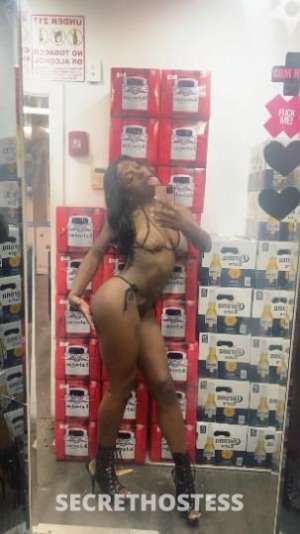 i love regulars make me ur favorite babe in Allentown PA