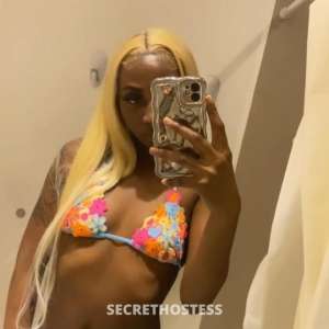 27Yrs Old Escort West Palm Beach FL Image - 0