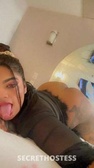 Cece 22Yrs Old Escort Queens NY Image - 2
