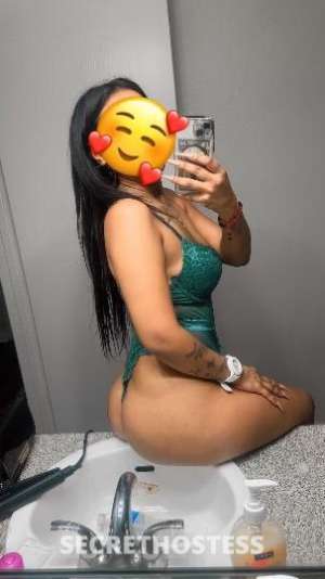 Sol 24Yrs Old Escort Image - 6