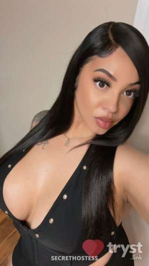 Amor - your favorite companion in Wichita KS