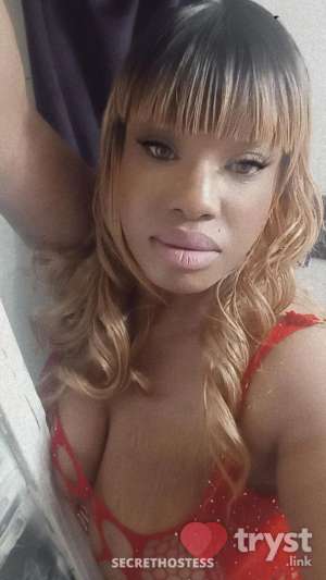 30Yrs Old Escort 164CM Tall Oklahoma City OK Image - 4