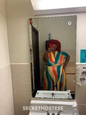 Litalove 52Yrs Old Escort Pittsburgh PA Image - 7