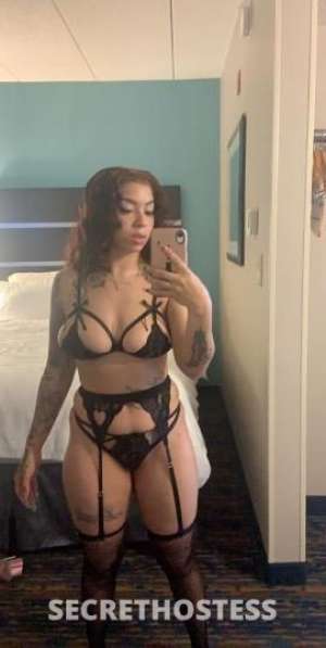 Sweet Treat DREAM IN OUT in Texarkana TX