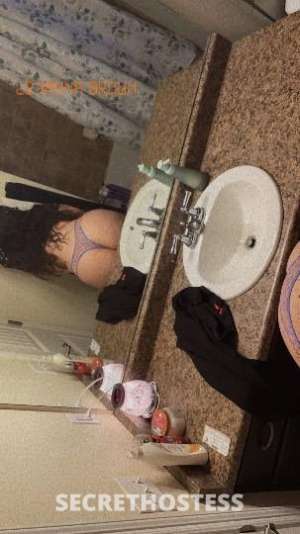 Sugar 26Yrs Old Escort Denver CO Image - 4