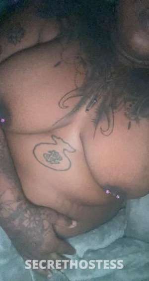 chocolate 26Yrs Old Escort Jacksonville FL Image - 1