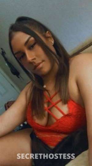 Bella 27Yrs Old Escort Sacramento CA Image - 3