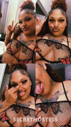 wet TIGHT mixbreed in College Station TX