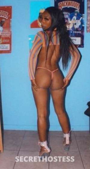 Melody 21Yrs Old Escort San Jose CA Image - 6