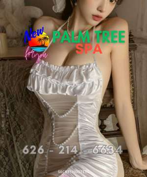 ❤️❤️❤️⟹🌴🌴🌴🌴ꓑalm ꓔree ⟹sweet in San Gabriel Valley