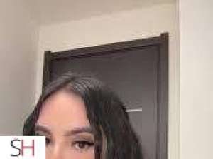 31 year old Caucasian Escort in St. John's Sweet in the middle