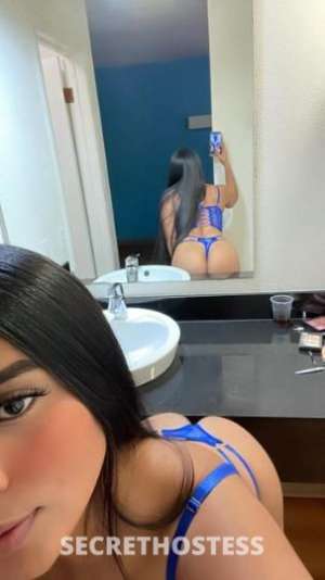 24 year old Latino Escort in Memphis TN Hermosa latina recien llegada a la ciudad ..INCALL24/7