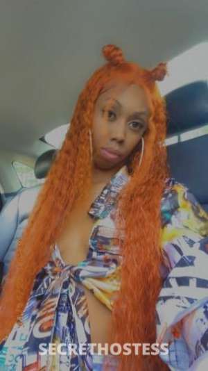 Stacey 33Yrs Old Escort 165CM Tall Las Vegas NV Image - 5