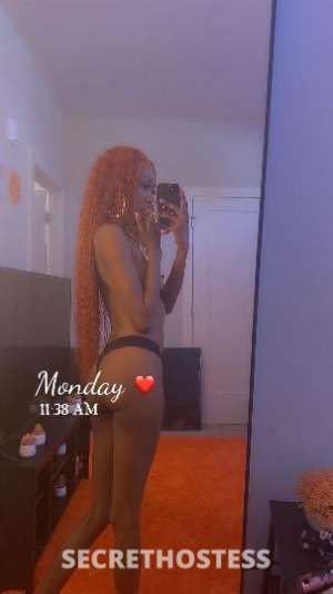 Stacey 33Yrs Old Escort 165CM Tall Las Vegas NV Image - 6