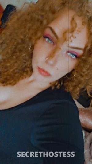 30 year old Escort in Wilmington DE Come Get Blessed By Nicky