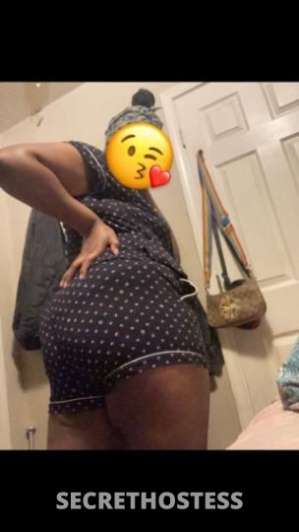 Shirley 22Yrs Old Escort Louisville KY Image - 2