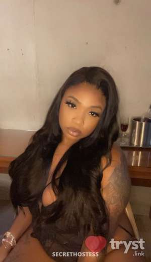 Desire - Texas Southern Belle in Tuscaloosa AL