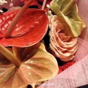 50 year old Escort in Cairns Tantalising Tink is in town today, Cairns