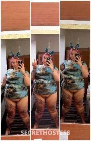 28 year old Escort in Sarasota FL im back- not here longgggg everything A1