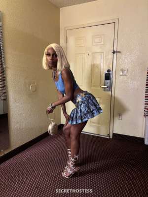 29Yrs Old Escort Albany GA Image - 2
