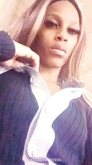 29Yrs Old Escort Albany GA Image - 3