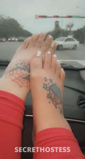 38 year old Escort in Treasure Coast FL Psl incall sexy sensual tatted bbw milf