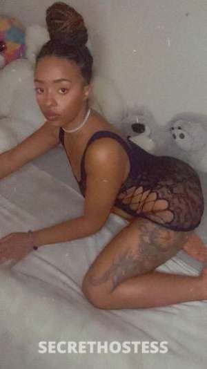 Miss bunny here to have fun in Tallahassee FL