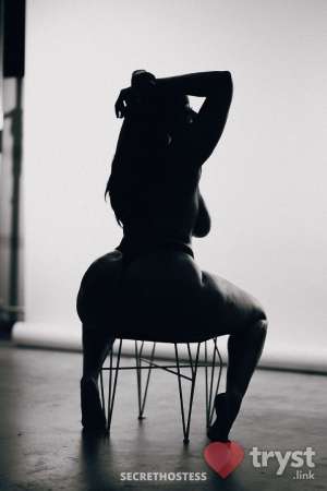 Sinnamon - Thick Natural Stallion in Los Angeles CA