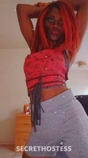 23 year old Escort in Gainesville FL 23Yrs Old Escort Gainesville FL
