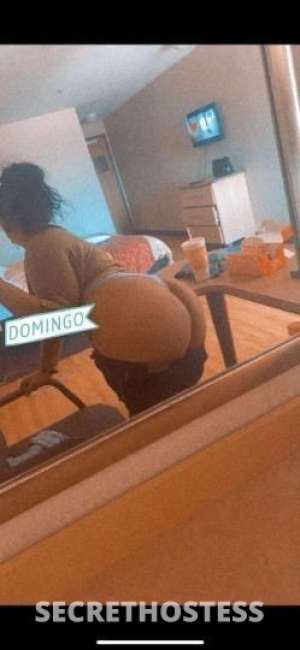 27 year old Latino Escort in New Orleans LA sofia