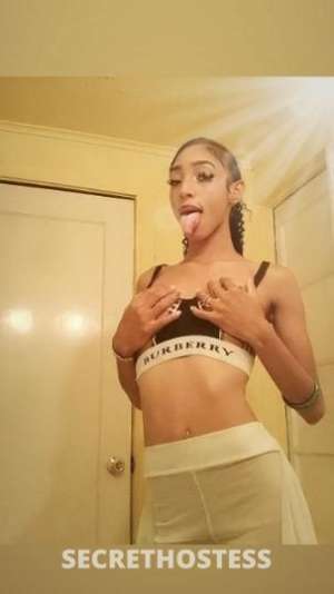 20 year old Escort in San Mateo CA bare naked discreet messages ??full service great services 