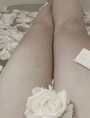 Latino Escort Denver CO in Denver CO