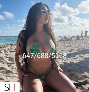 Linda 23Yrs Old Escort Brampton Image - 5