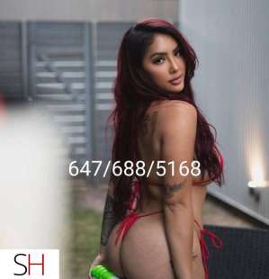 Linda 23Yrs Old Escort Brampton Image - 7