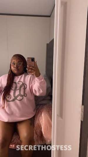 26 year old Escort in Wilmington NC pretty brown brown