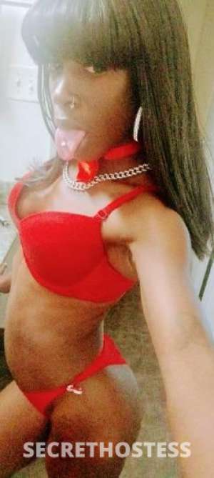 DIAMOND? 35Yrs Old Escort Memphis TN Image - 3